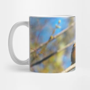Baltimore Oriole Perched On A Tree Branch Mug